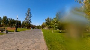 Жаркий летний день у фонтана в парке