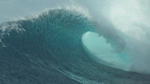 Ты – ум, но не человек