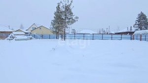 4864341 Сосновый бор