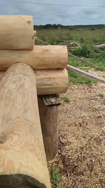 положили слигу в сруб бани