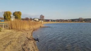 251108 Пляж Прозрачная осенняя вода Вид с вышки спасателей на озеро Светлая Жизнь город Орёл песча