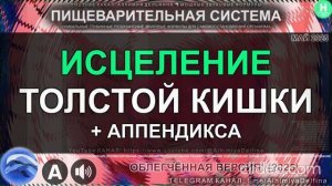 Здоровье Аппендикса и Толстой Кишки 🔄 Глубокое Восстановление, Очищение и Омоложение Кишечника
