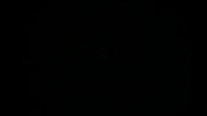 SR910 Римская свеча "Огнишко" 8*1,25