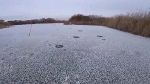 Первый лёд 2025-2026!! Всё ТРЕЩИТ, ХРУСТИТ, но КЛЮЁТ!! Рыбалка по ПЕРВОМУ ЛЬДУ!!