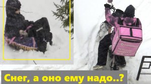 А оно ему надо? Выходит - надо! И даже очень!