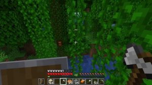 Обзор на мой дом в Майне.