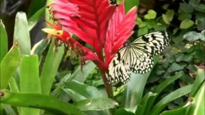 Христианские песни. Прославление и поклонение