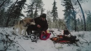 НАШЛИ ИЗБУ, НО ОНА СГОРЕЛА. ПОХОД В ЛЕС.