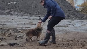 LIVE*PITER: Прострелил радикулит, упала в обморок, но иду гулять с собаками...