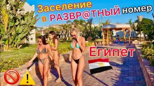 ЗАСЕЛЕНИЕ с чувством СТЫДА! Живём в СТРОЙКЕ! Отель Reef Oasis Beach Resort 5* Шарм эль Шейх 2025