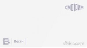 Институт Civey: каждому четвертому немцу не хватает Меркель на посту канцлера