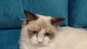 Где-то в России!!!