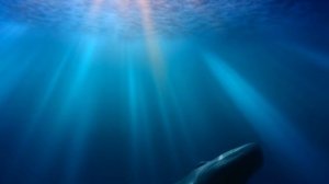 Ветрами полярных равнин