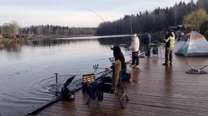 Обзор клева на зарыблении.