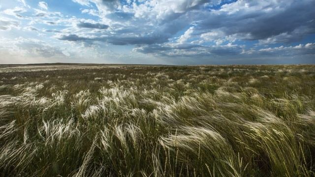 А. Бородин. 2 симфония. Анданте.  A. Borodin. 2 Symphony. Andante.  Природа России