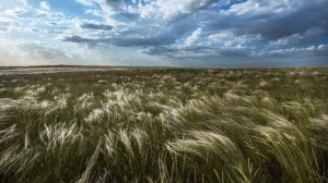 А. Бородин. 2 симфония. Анданте.  A. Borodin. 2 Symphony. Andante.  Природа России