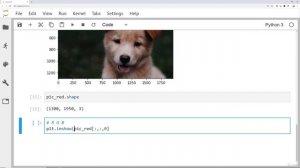 8 - Images and NumPy