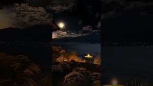 Скажи судьба ✨🎶👍🔊💫