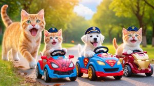 Мультики для детей, котики катаются на игрушечных машинах, мультфильм/мультик