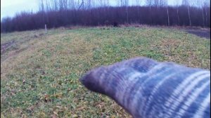 Малость накопал крестов и монет