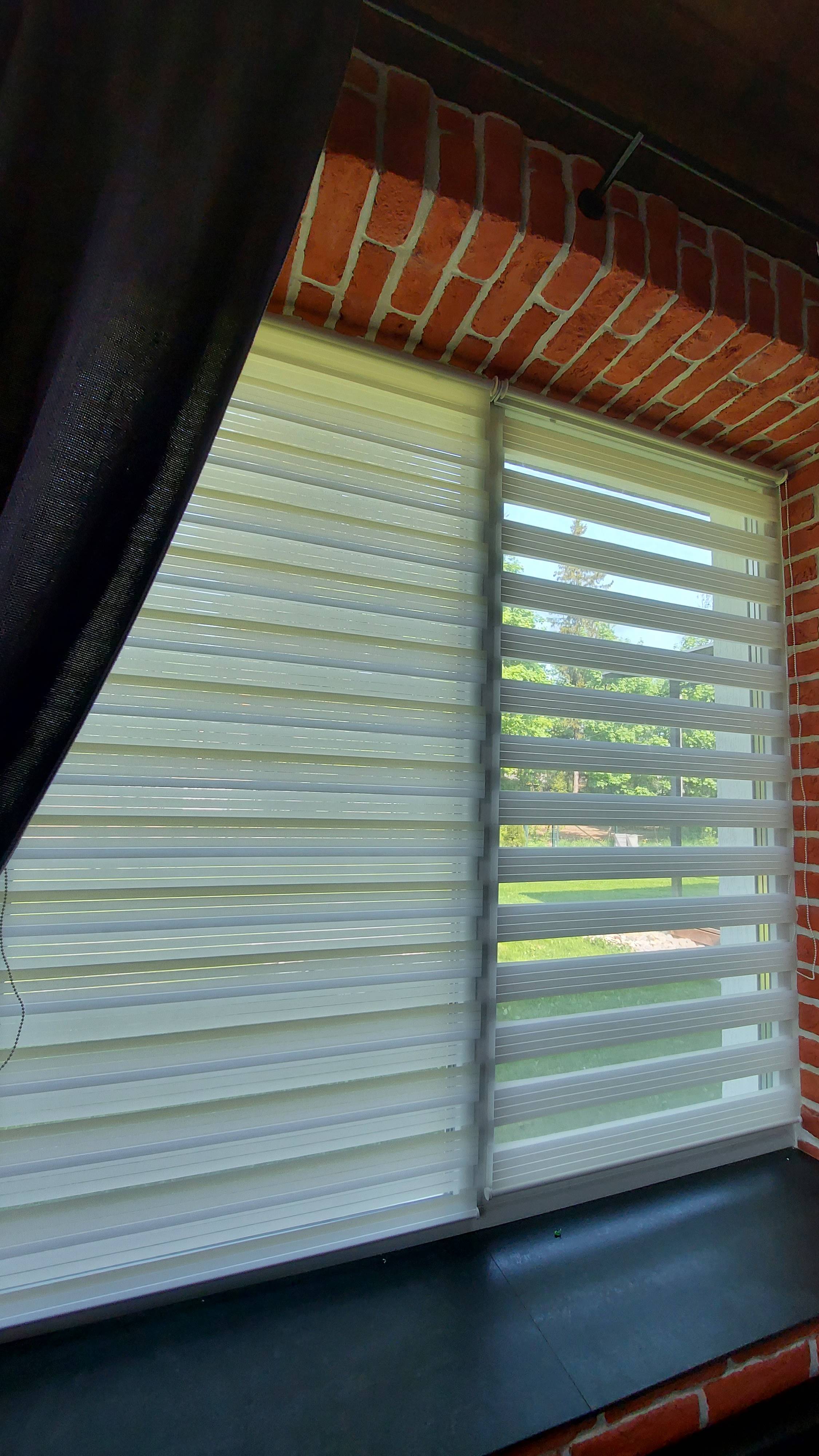 Рулонные шторы День-ночь (Зебра). Свободновисящая открытая система. Ткань Лигурия 2201.