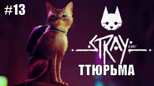 Stray Полное Прохождение на PS5 #13 Ттюрьма #stray #ps5 #ps4 #sony #cats #animals #прохождение