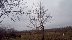 незапланированная поездка в деревню