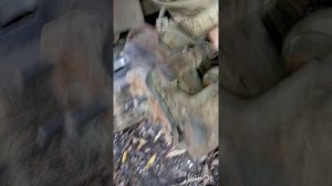 Как снять шрусы Ssang Young Rexton RX320. Замена двигателя на 3.6 литра + Compressor м 111.6 серия.