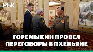 Замминистра обороны Горемыкин провел переговоры в Пхеньяне
