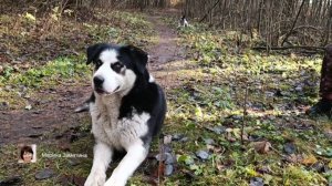 Экотерапия 55 серия.