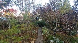 СОНАСТРОЙКА на энергопоток Духа нового дня,на Программу Водолея-Урана-Земли-Человечества, 7.11.МНШУ