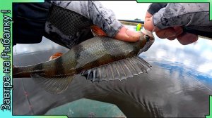 Разнообразные приманки на спиннинг - Окунь/Щука - рыбалка в Воронежской области