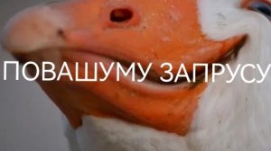 ЛЕВАЯ  ДВЕРЬ !