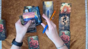 Украина ноябрь 2025 год