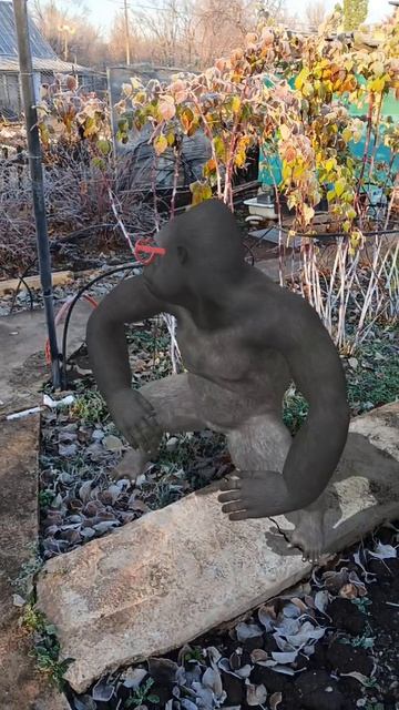 Доброе утро, горилла 🦍 танцует с утра 👍😃#доброеутро смотреть онлайн