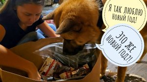 Встреча Маши, Треугольного кота и Пса Кубика. Распаковка подарков для Кубика от Ирины