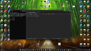 Обзор на мою программу PyFriend