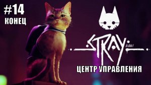 Stray Полное Прохождение на PS5 #14 Концовка Центр управления #stray #ps5 #ps4 #sony #cats #animals