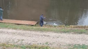 Forest Fishing 08.11.25