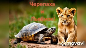 Черепаха и Львёнок - кавер.mp4