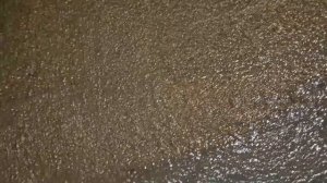 Д.Давыдовская.Кольца уходят в плывун,при скачевание.Нужно скобировать и тормозить шахту.podkapae.ru