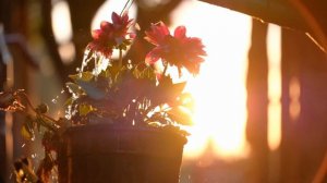 Истинный смысл событий жизни