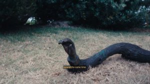 День из жизни творца в Сиднее (встречи творцов, SXSW Sydney, скульптура у моря)