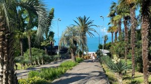 Прогулка по Приморскому парку в Сочи.