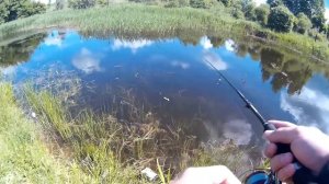 Ловля на спиннинг в центре Дубны