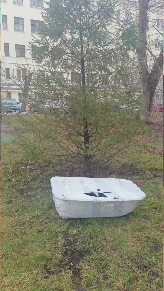 У кого что, а я санки купил! #всратые покупки с Aliexpress смотреть онлайн