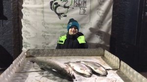 улов форели у юного рыбака