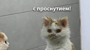 Доброе утро) Болталка Мне все не нравится!