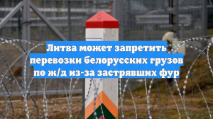 Литва может запретить перевозки белорусских грузов по ж/д из-за застрявших фур