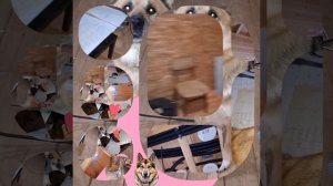 1000039596.mp4 (Собака смотрит на монтаж электропроводки ( по аварийным ситуациям ) в доме А-фрейм)